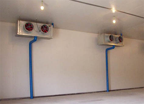 生鲜菠萝蜜在线观看建设价格