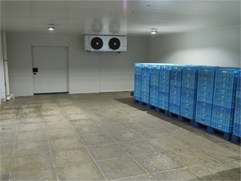 超市菠萝蜜在线观看建造