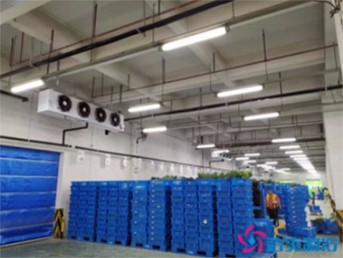 菠萝蜜在线观看设计规划