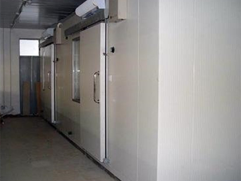 食品菠萝蜜在线观看建造安装