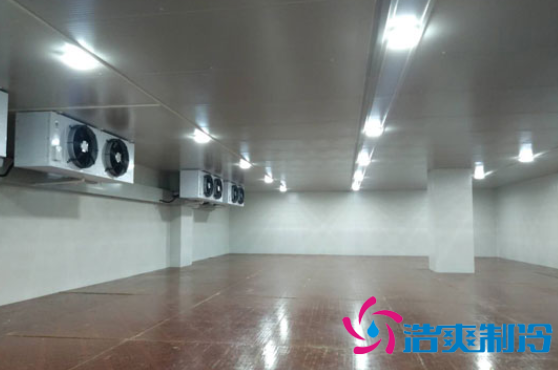 保鲜菠萝蜜在线观看造价