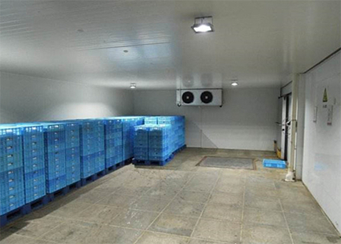 海鲜物流冷藏库建设费用 海鲜物流冷藏库建设费用