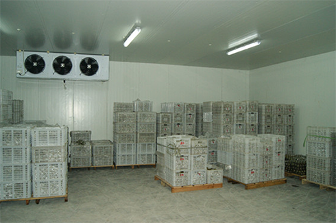 食品菠萝蜜在线观看造价费用