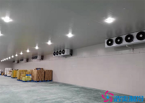 生鲜食品物流菠萝蜜在线观看建造安装