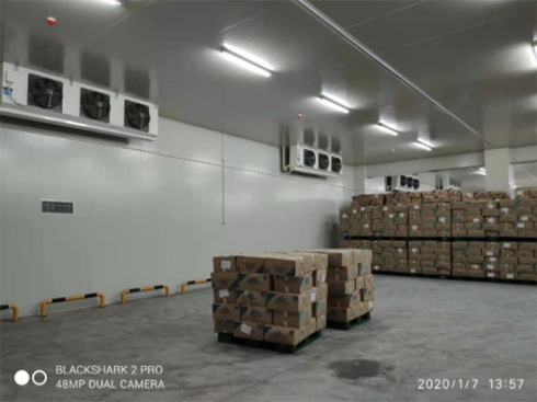 食品菠萝蜜在线观看安装 食品菠萝蜜在线观看安装