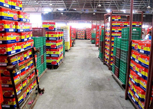 水果菠萝蜜在线观看安装建造 水果菠萝蜜在线观看安装建造