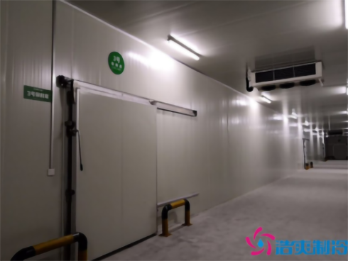 食品菠萝蜜在线观看建造