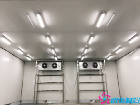 食品菠萝蜜在线观看建造公司