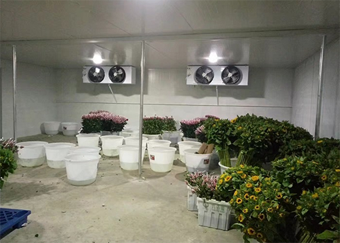 鲜花保鲜菠萝蜜在线观看建造 鲜花保鲜菠萝蜜在线观看建造