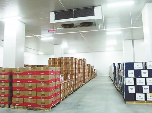 生鲜冷链物流菠萝蜜在线观看安装价格