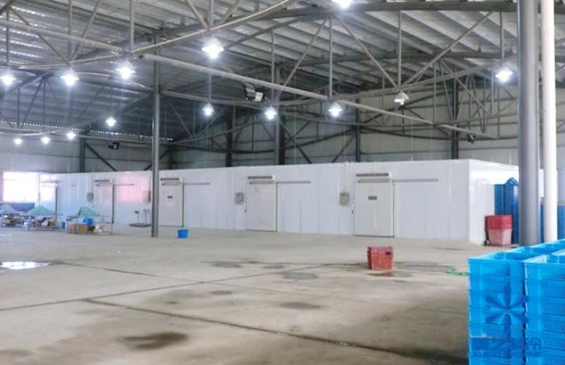 啤酒菠萝蜜在线观看建造公司 啤酒菠萝蜜在线观看建造公司