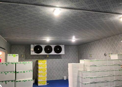 保鲜菠萝蜜在线观看建造要求