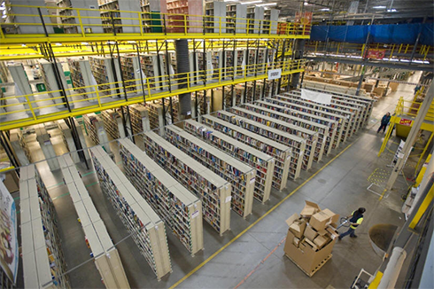 保鲜菠萝蜜在线观看建造