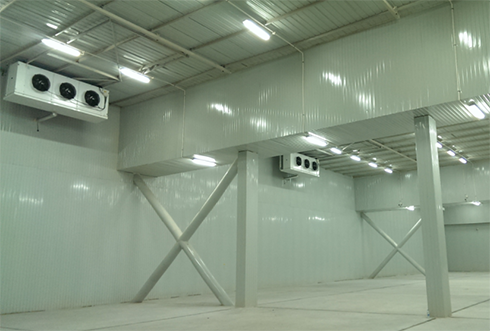 食品菠萝蜜在线观看造价费用