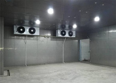 自动化立体菠萝蜜在线观看建造