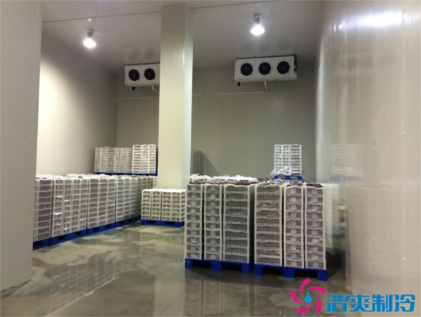 海鲜菠萝蜜在线观看建造