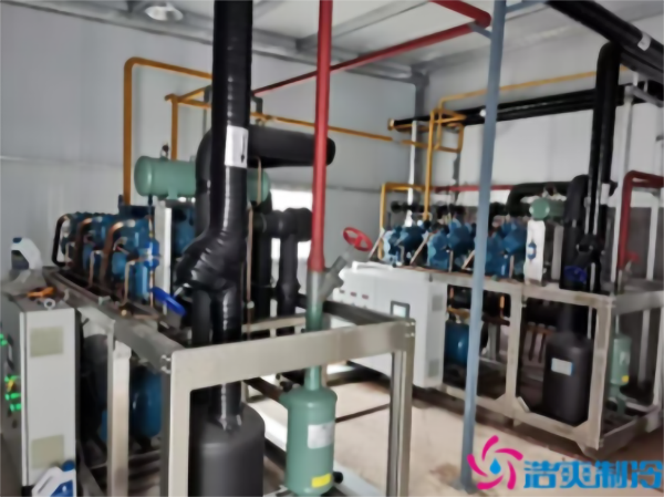 食品菠萝蜜在线观看设计建造