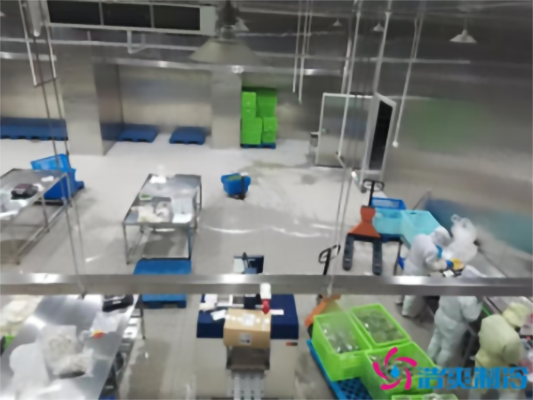 -30℃速冻水饺菠萝蜜在线观看安装 -30℃速冻水饺菠萝蜜在线观看安装