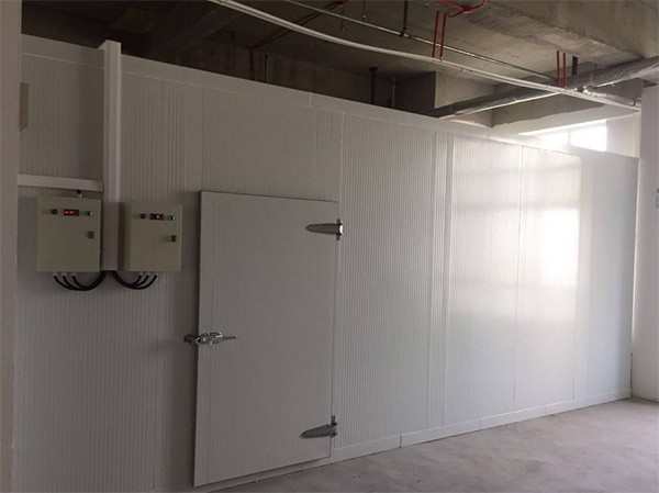 酒店食品菠萝蜜在线观看设计安装 酒店食品菠萝蜜在线观看设计安装