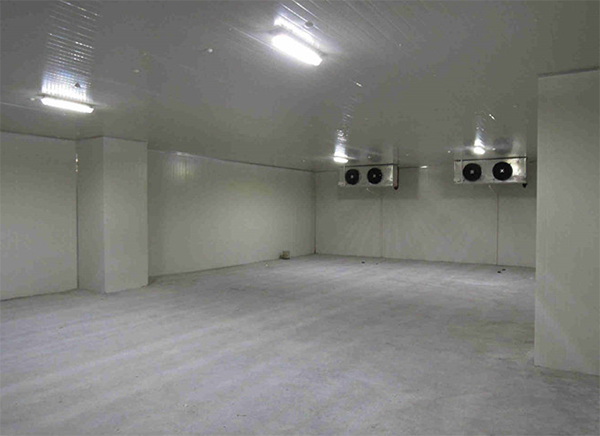 200立方米蔬菜恒温安装造价 200立方米蔬菜恒温安装造价