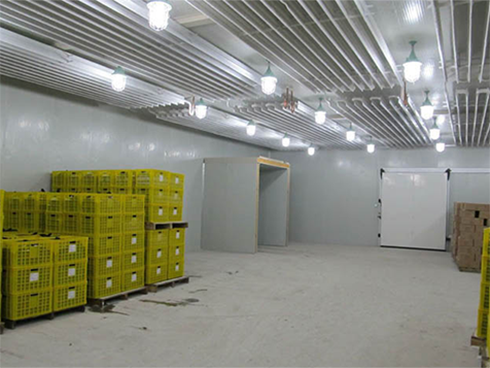 水果菠萝蜜在线观看建设特点