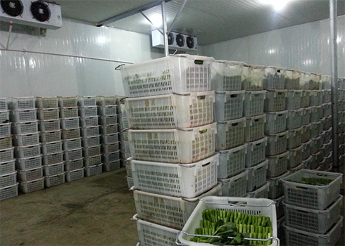 食品菠萝蜜在线观看建造价格 食品菠萝蜜在线观看建造价格