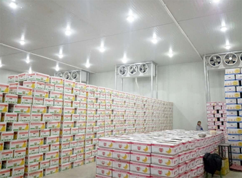 大型食品菠萝蜜在线观看建造