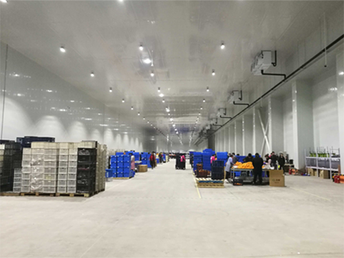 物流菠萝蜜在线观看建设安装