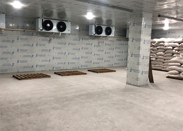 生鲜菠萝蜜在线观看设计安装