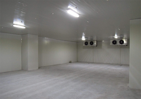 保鲜菠萝蜜在线观看安装 保鲜菠萝蜜在线观看安装