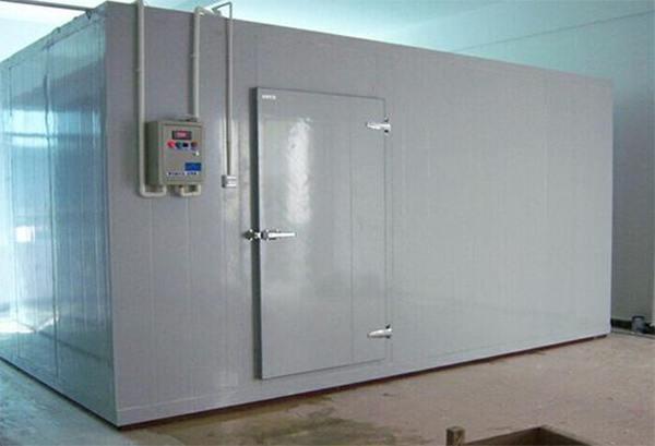 保鲜菠萝蜜在线观看安装 保鲜菠萝蜜在线观看安装