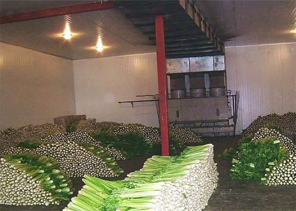 蔬菜冷藏保鲜库建造安装 蔬菜冷藏保鲜库建造安装