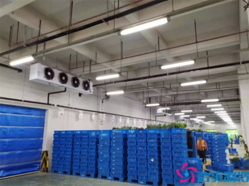 海鲜水产低温冷冻库 海鲜水产低温冷冻库