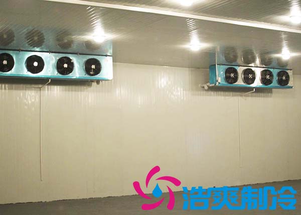 建造一个农贸市场菠萝蜜在线观看造价大概多少费用？