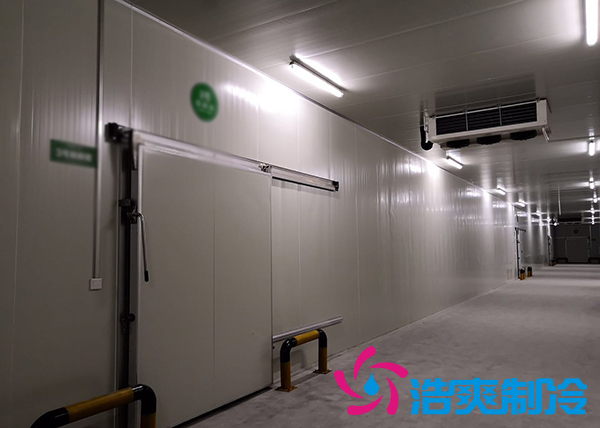 建造一个10000平方米生鲜菠萝蜜在线观看冷链仓储配送需要投资多少费用？