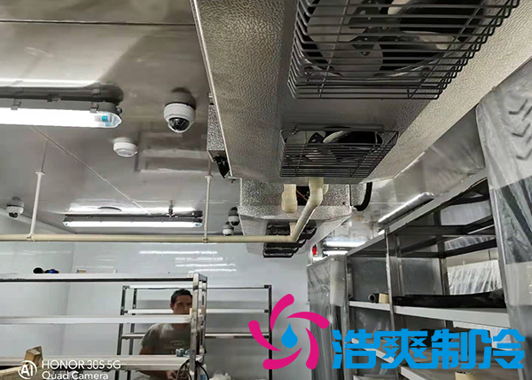 建造1000吨土豆保鲜库需要多少安装费用？_菠萝蜜视频在线免费观看制冷