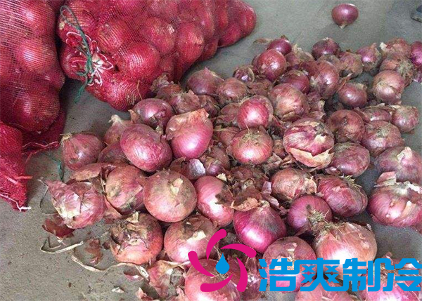 建造1000吨洋葱保鲜菠萝蜜在线观看安装费用是多少？