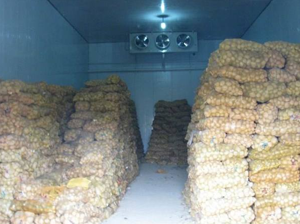 土豆菠萝蜜在线观看的储存方法及其菠萝蜜在线观看建造方案_菠萝蜜视频在线免费观看制冷