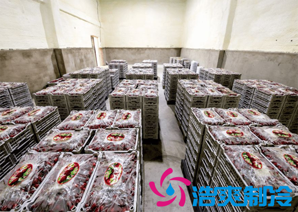 果蔬保鲜菠萝蜜在线观看安装造价需要多少钱？_菠萝蜜视频在线免费观看制冷