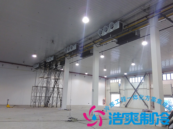 建造一个小型青果槟榔保鲜菠萝蜜在线观看造价多少钱？可以存储多长时间？