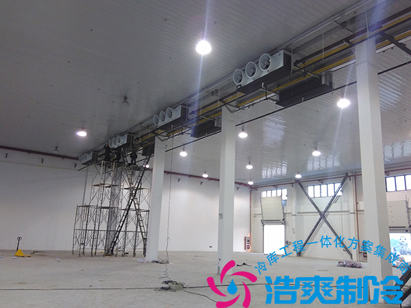 餐饮公司建造21000立方米大型食品冷藏库造价多少钱？_菠萝蜜视频在线免费观看制冷