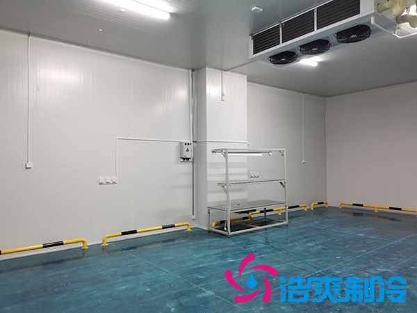 滨州健源大型食品菠萝蜜在线观看工程建造安装案例