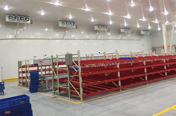 天津上先食品加工菠萝蜜在线观看工程建造案例