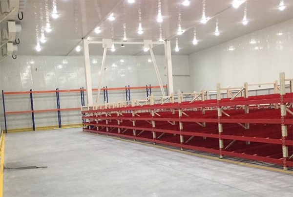 天津上先食品加工菠萝蜜在线观看工程建造案例