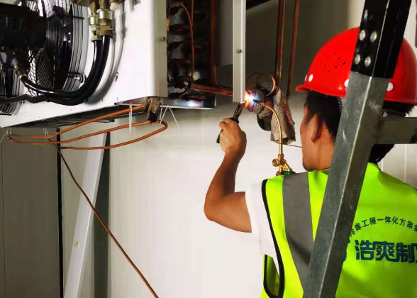 古茗重庆仓大型食品菠萝蜜在线观看工程项目安装案例