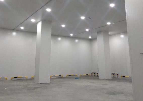 浙江顶誉食品有限公司菠萝蜜在线观看工程建造案例