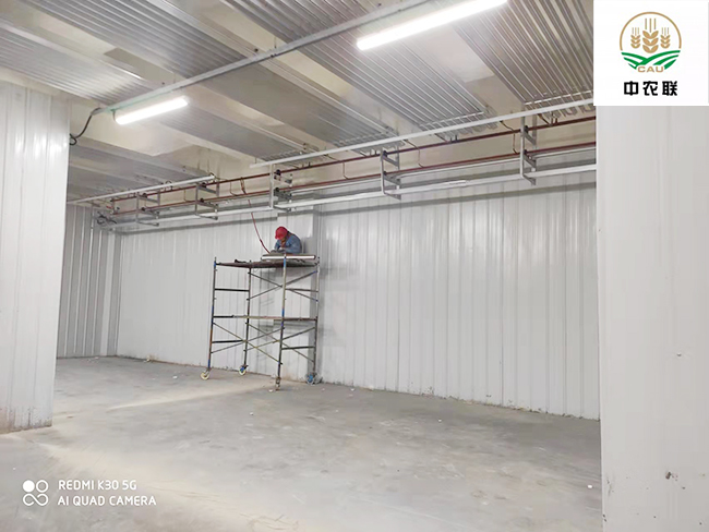 江苏农产品国际物流港22600m³菠萝蜜在线观看制冷与保温工程案例