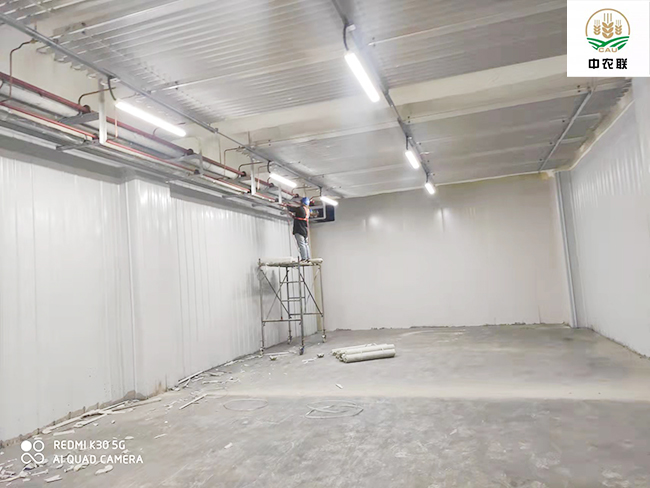 江苏农产品国际物流港22600m³菠萝蜜在线观看制冷与保温工程案例