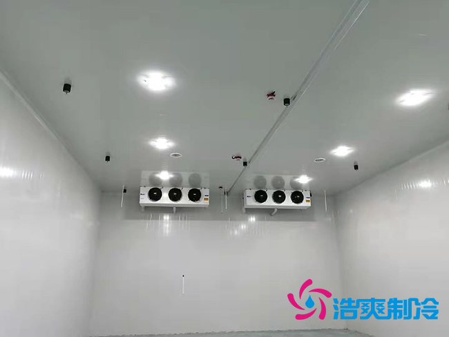 超低温冻库建设价格与哪些因素有关？_菠萝蜜视频在线免费观看制冷
