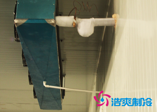 鲜花菠萝蜜在线观看建造设计方案及鲜花存储方法_菠萝蜜视频在线免费观看制冷 鲜花菠萝蜜在线观看建造设计方案及鲜花存储方法_菠萝蜜视频在线免费观看制冷